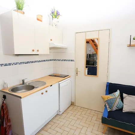 Maison Fleurie Quartier Calme St Cyprien Holiday home *