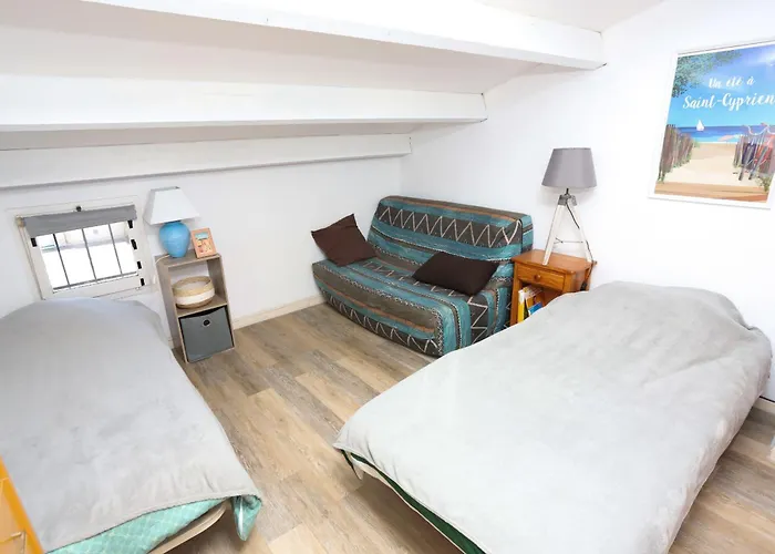 Σπίτι διακοπών Maison Fleurie Quartier Calme St Cyprien *